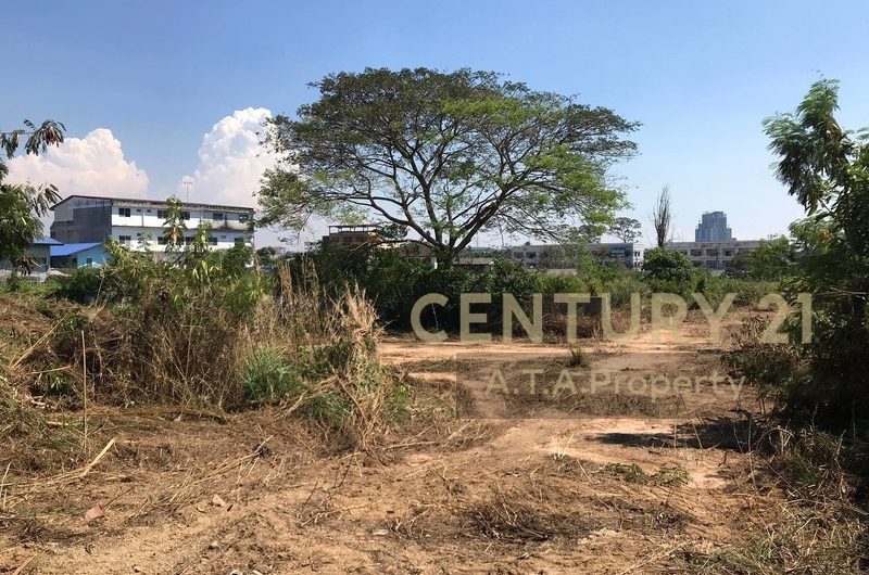 Land for sale on Soi Wang Hin, Sriracha, Chon Buri