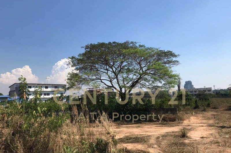 Land for sale on Soi Wang Hin, Sriracha, Chon Buri