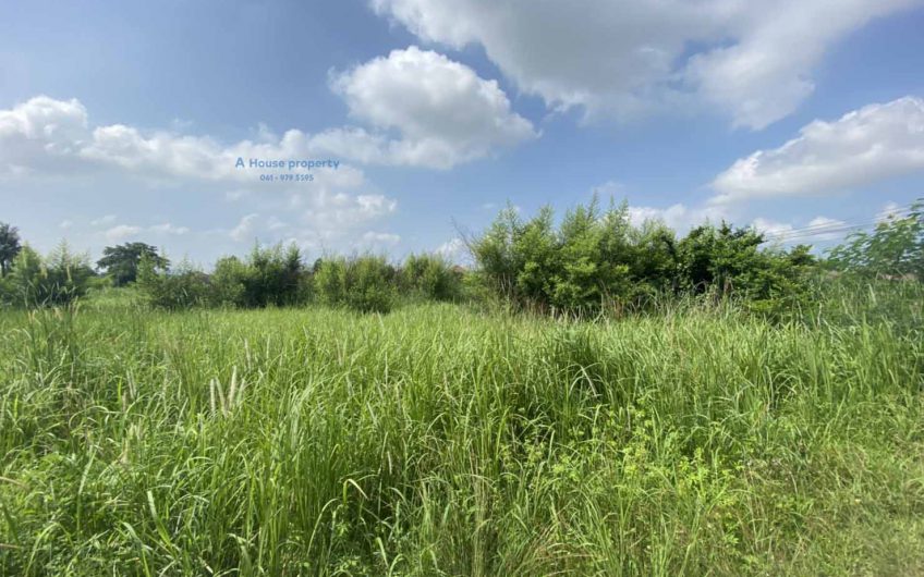 Land for sale, Bueng Sriracha Subdistrict, Chonburi Province