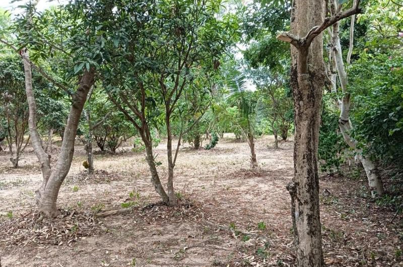 Garden land for sale, Bang Lamung, Pong Subdistrict, Chonburi