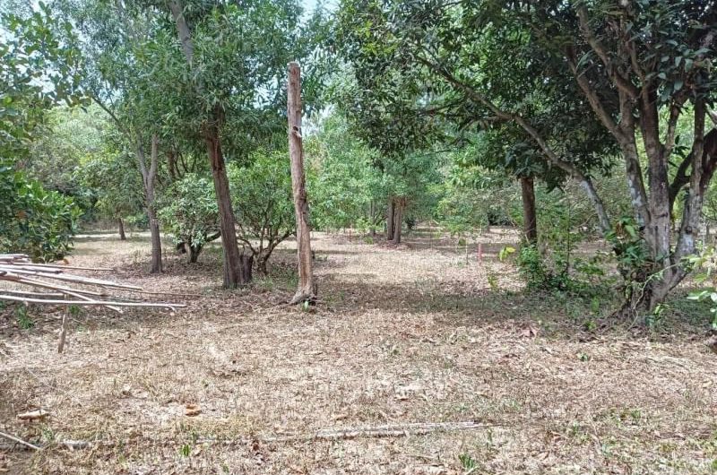 Garden land for sale, Bang Lamung, Pong Subdistrict, Chonburi