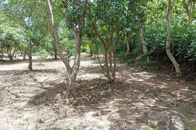 Garden land for sale, Bang Lamung, Pong Subdistrict, Chonburi