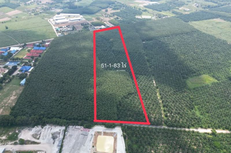 Land for sale in Ban Bueng, Nong Irun, behind the Smart Concrete Factory.