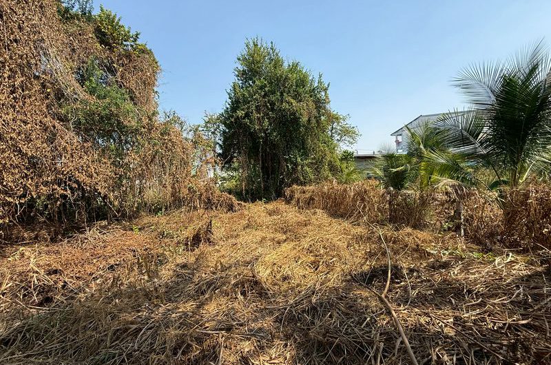 ขายที่ดินศรีราชา แปลงสวย ราคาดี ในซอยหมู่บ้านลัดดาเฮ้าส์