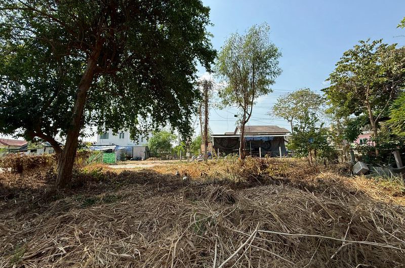 ขายที่ดินศรีราชา แปลงสวย ราคาดี ในซอยหมู่บ้านลัดดาเฮ้าส์