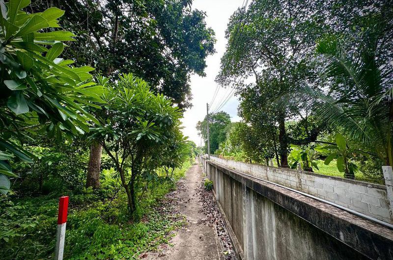 ขายที่ดินเปล่า ไร่กล้วย-นาพร้าว แปลงสวย ทำเลทอง ใกล้โลตัสศรีราชา