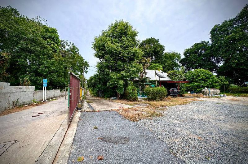 ขายที่ดินเปล่า ไร่กล้วย-นาพร้าว แปลงสวย ทำเลทอง ใกล้โลตัสศรีราชา