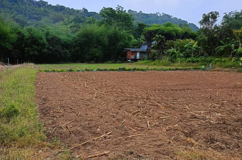 Land for sale next to a mountain, beautiful plot, excellent atmosphere, Bowin area, Sriracha, Chonburi.