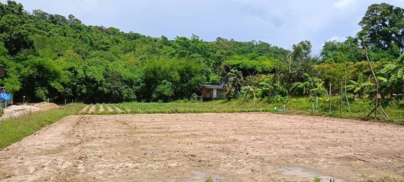 Land for sale next to a mountain, beautiful plot, excellent atmosphere, Bowin area, Sriracha, Chonburi.