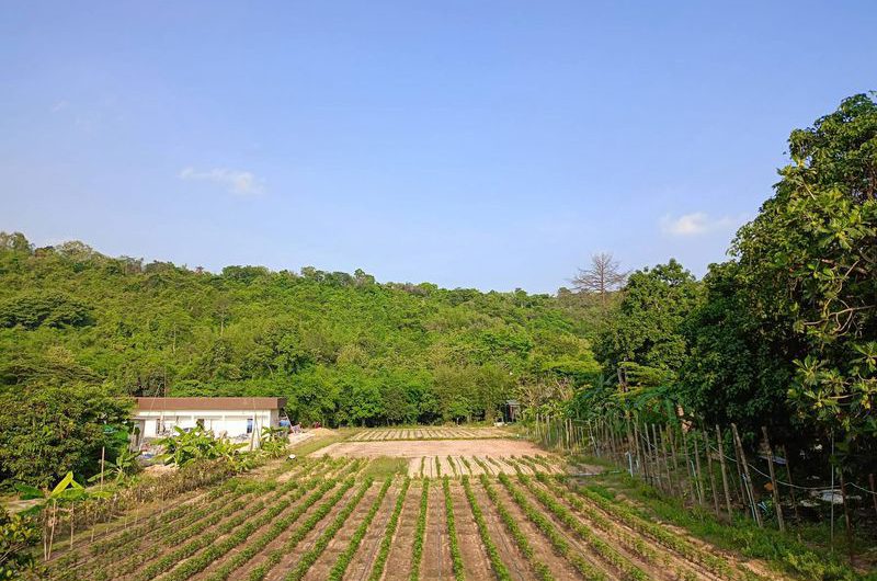 Land for sale next to a mountain, beautiful plot, excellent atmosphere, Bowin area, Sriracha, Chonburi.