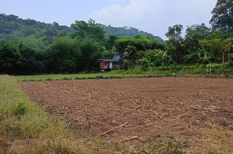 Land for sale next to a mountain, beautiful plot, excellent atmosphere, Bowin area, Sriracha, Chonburi.