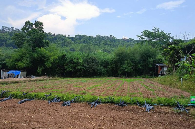 Land for sale next to a mountain, beautiful plot, excellent atmosphere, Bowin area, Sriracha, Chonburi.