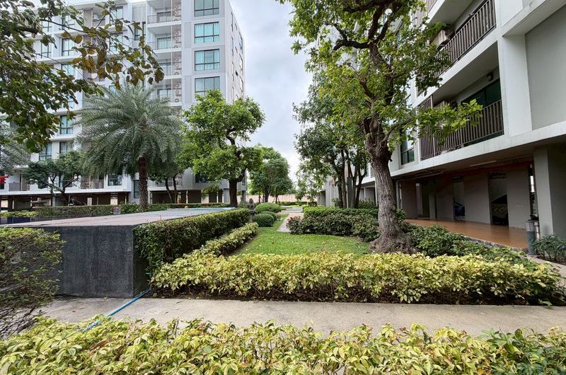 ขาย ให้เช่าคอนโด Casa Condo ศรีราชา ห้องสวย สภาพดี พร้อมเข้าอยู่ทันที