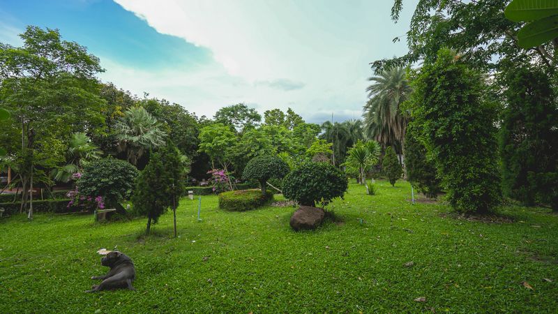 Luxurious mansion with beautiful gardens and a resort-like atmosphere, located on the Chak Kho-Nong Kham road.