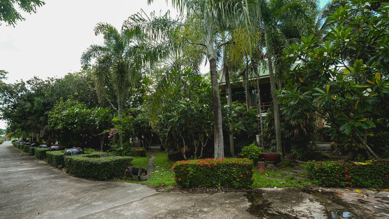 Luxurious mansion with beautiful gardens and a resort-like atmosphere, located on the Chak Kho-Nong Kham road.