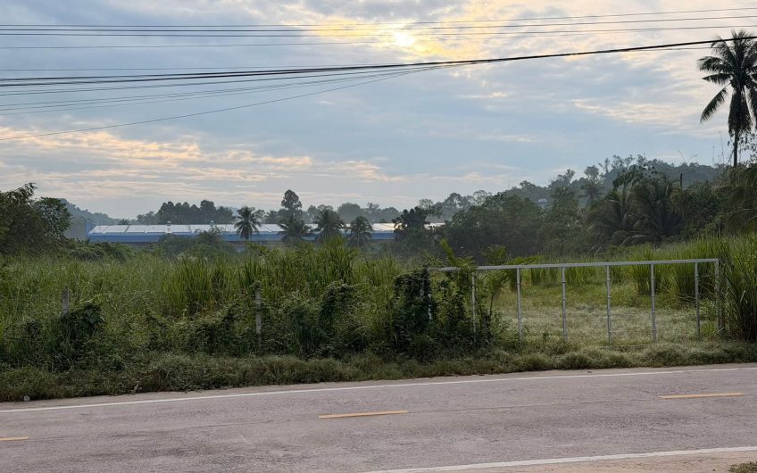 Land for sale in Si Racha, located in the Noen Tong area (Nong Kham)  suitable for building a house or for investment.