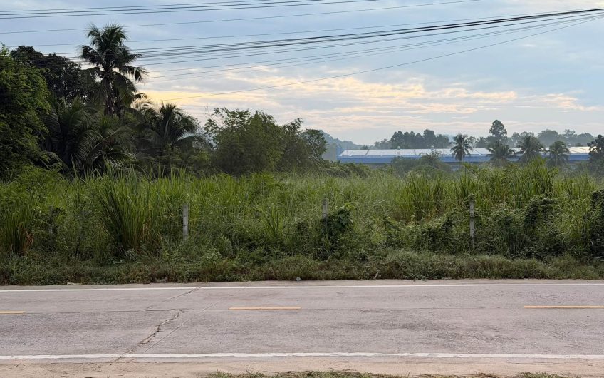 Land for sale in Si Racha, located in the Noen Tong area (Nong Kham)  suitable for building a house or for investment.
