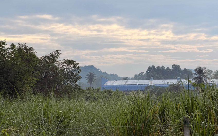 Land for sale in Si Racha, located in the Noen Tong area (Nong Kham)  suitable for building a house or for investment.